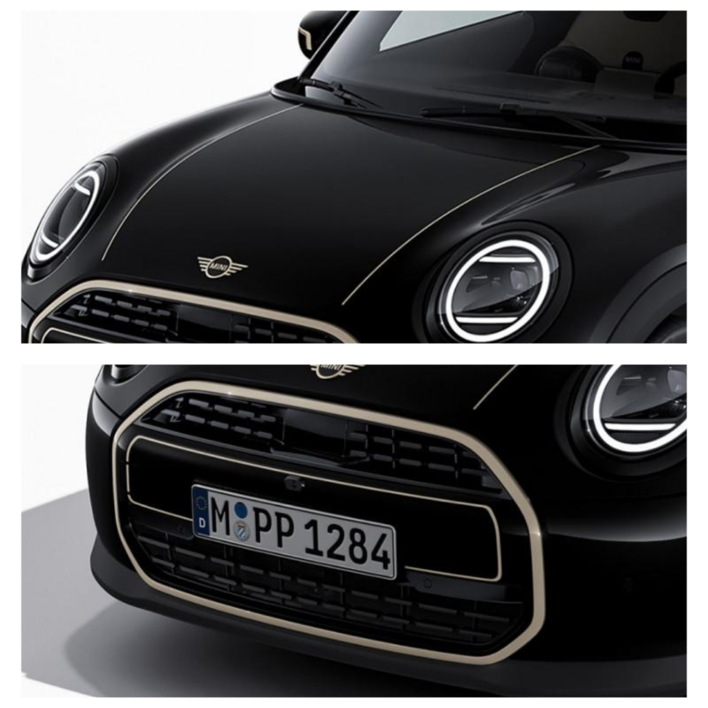 Genuine Favoured Adhesive Film Front Grille Bonnet Fits F65 F65FAVOURED