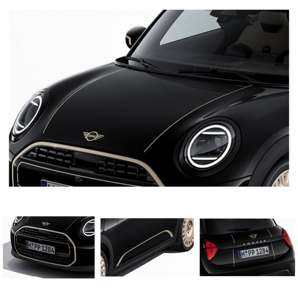 Genuine Favoured Adhesive Film Grille Bonnet Tailgate Fits F66 F66FAVOURED