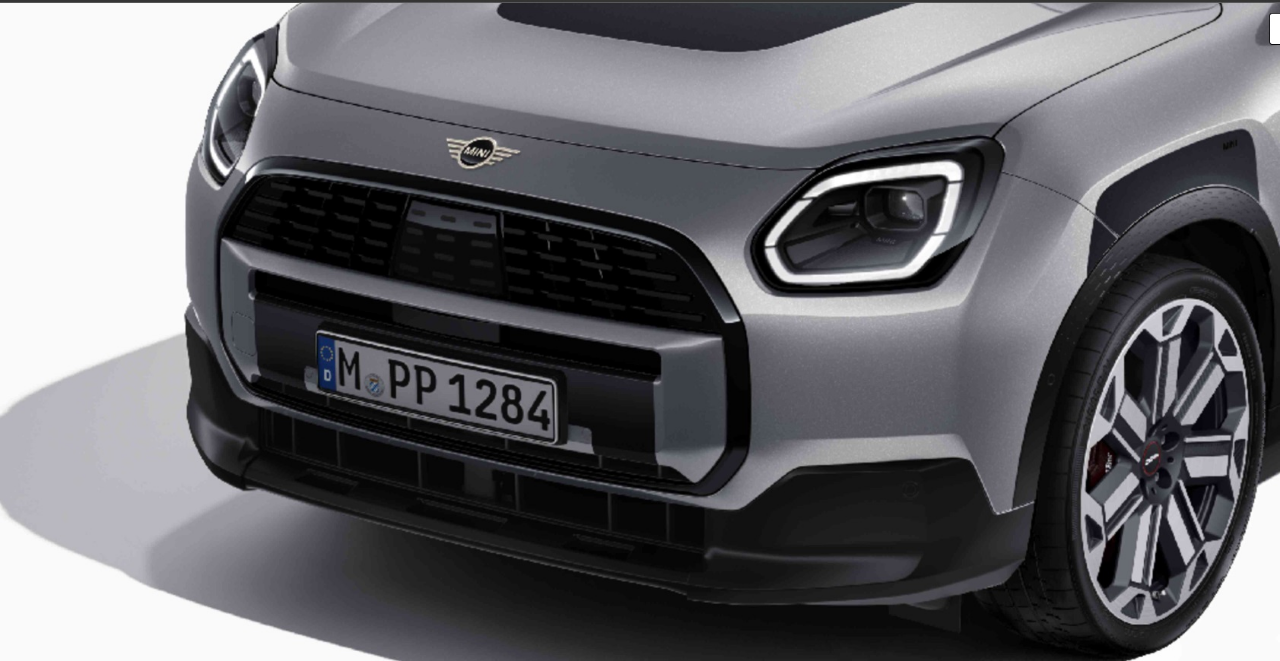 Genuine Heritage Front Grille Adhesive Film Customised Fits U25 51145B3EEB1