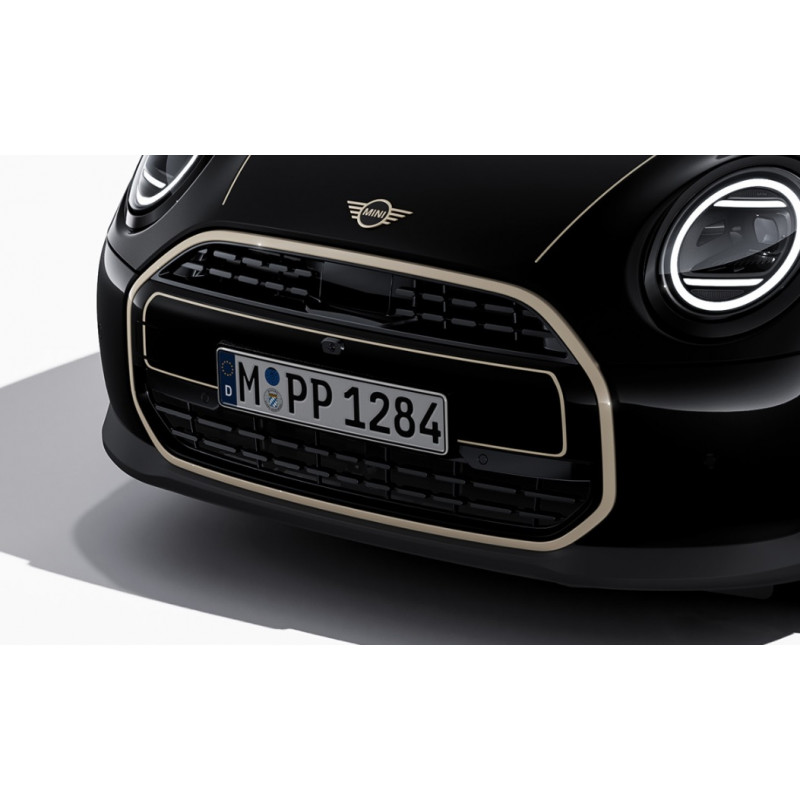Genuine Favoured Front Grille Adhesive Film Customised Fits F67 51145B4EAA6