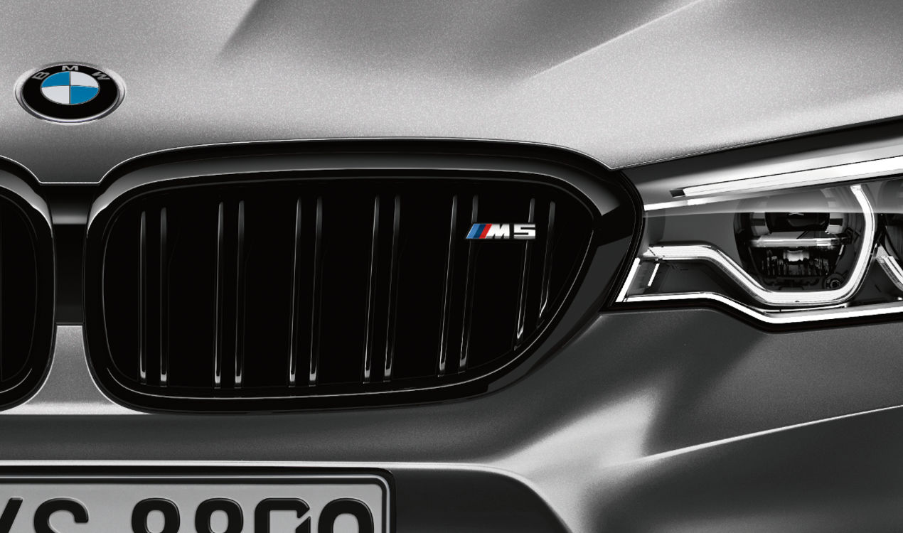 Genuine M Performance Trim Front Ornamental Grille 51 13 2 456 162