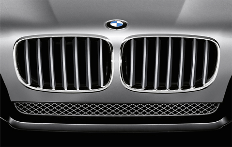 Genuine Front Left Kidney Grille Titanium 51 13 7 185 223