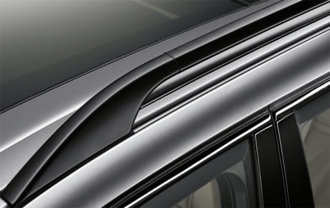 Genuine Roof Rail Base Trim Moulding Cover Left 51 13 7 250 391