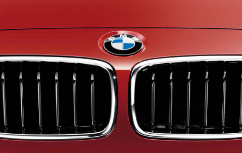Genuine Front Left Kidney Grille Sport 51 13 7 260 497