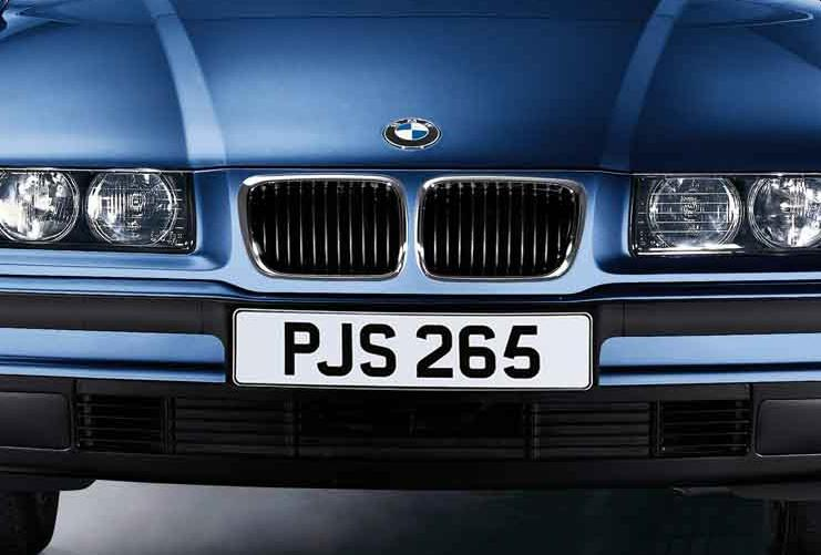 Genuine Front Left Kidney Grille with Chrome Frame 51 13 8 195 151