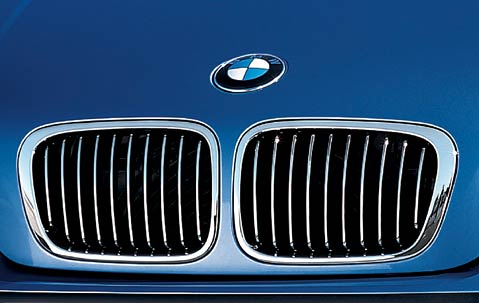 Genuine Front Left Kidney Grille Chrome 51 13 8 208 489