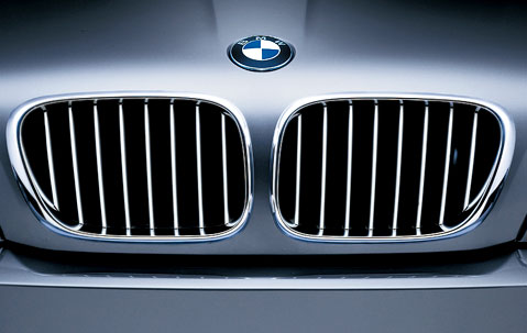 Genuine Exterior Front Left Kidney Grille Titanium 51 13 8 250 051