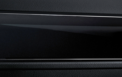 Genuine Door Trim Strip Black Rear Right 51 42 6 984 674