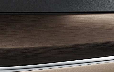 Genuine Interior B-Pillar Trim Cover Left Wood 51 43 7 219 427