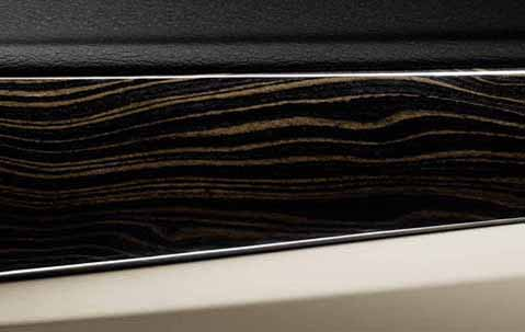 Genuine Dashboard Panel Trim Wood 51 45 2 991 258