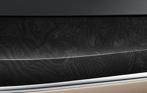 Genuine Dashboard Panel Cover Trim Right Ash Grain 51 45 9 195 650