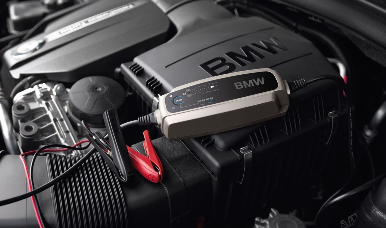 Genuine Car Battery Charger EU Version 2 Pin Plug 61 43 2 408 592