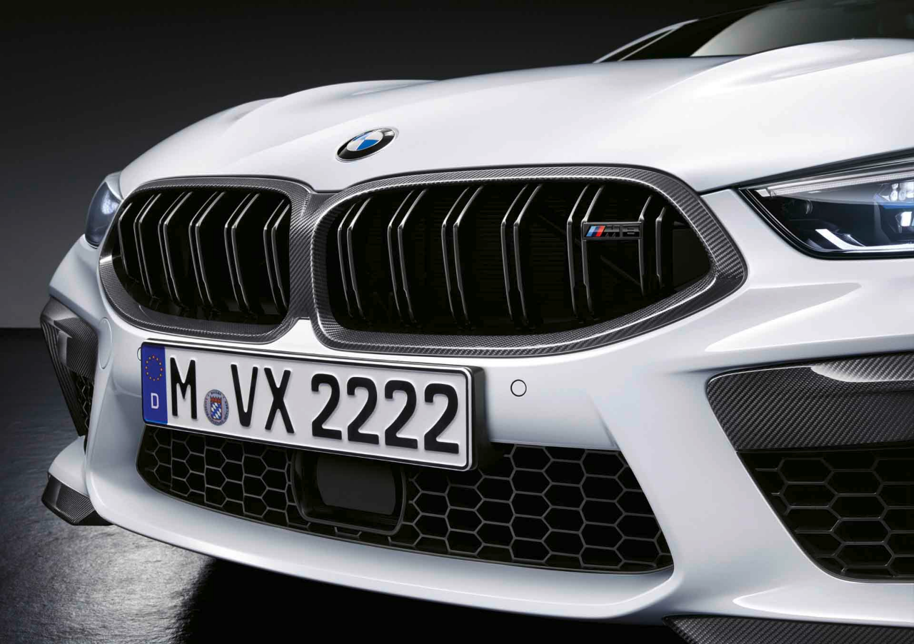 Genuine M Performance Front Ornamental Grill Grille Carbon 51 71 2 462 820