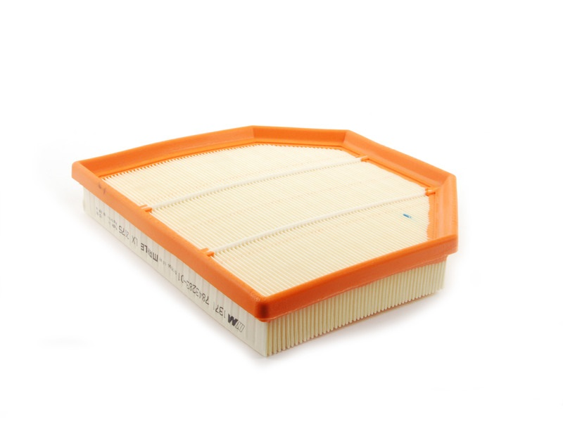 Genuine Air Filter Element 13 72 7 843 283