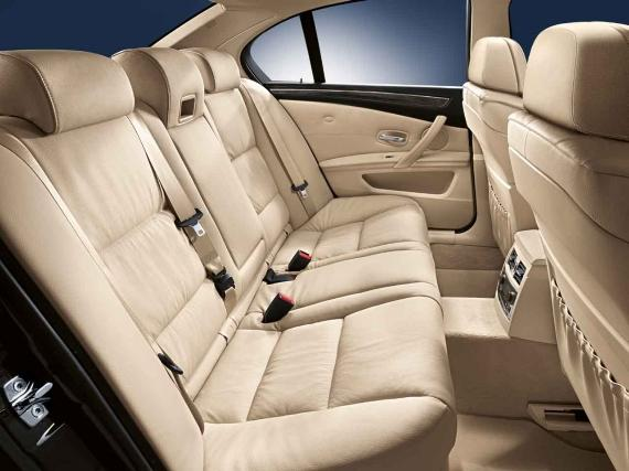 Genuine Door Trim Strip Bamboo Rear Left 51 42 6 984 687 view 2