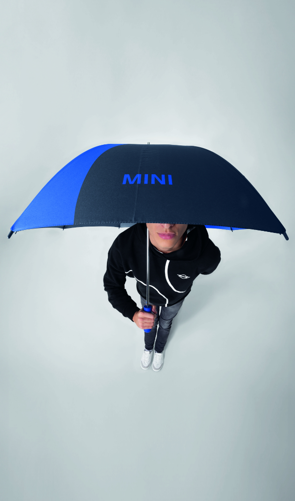 Genuine Umbrella Walking Stick Car Face Detail Indigo Blazing Blue 80 23 5 B32 0F5 view 4